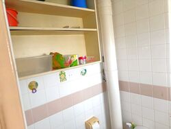Blk 450C Tampines Street 42 (Tampines), HDB 4 Rooms #562195901